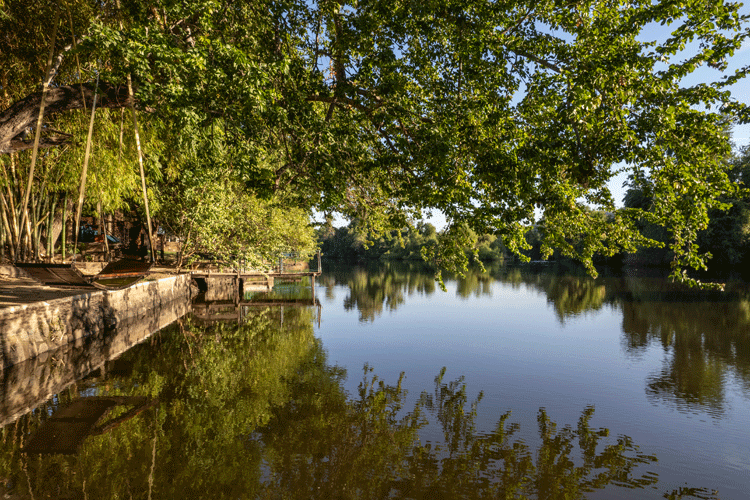 City of Obregón Campo Galicia